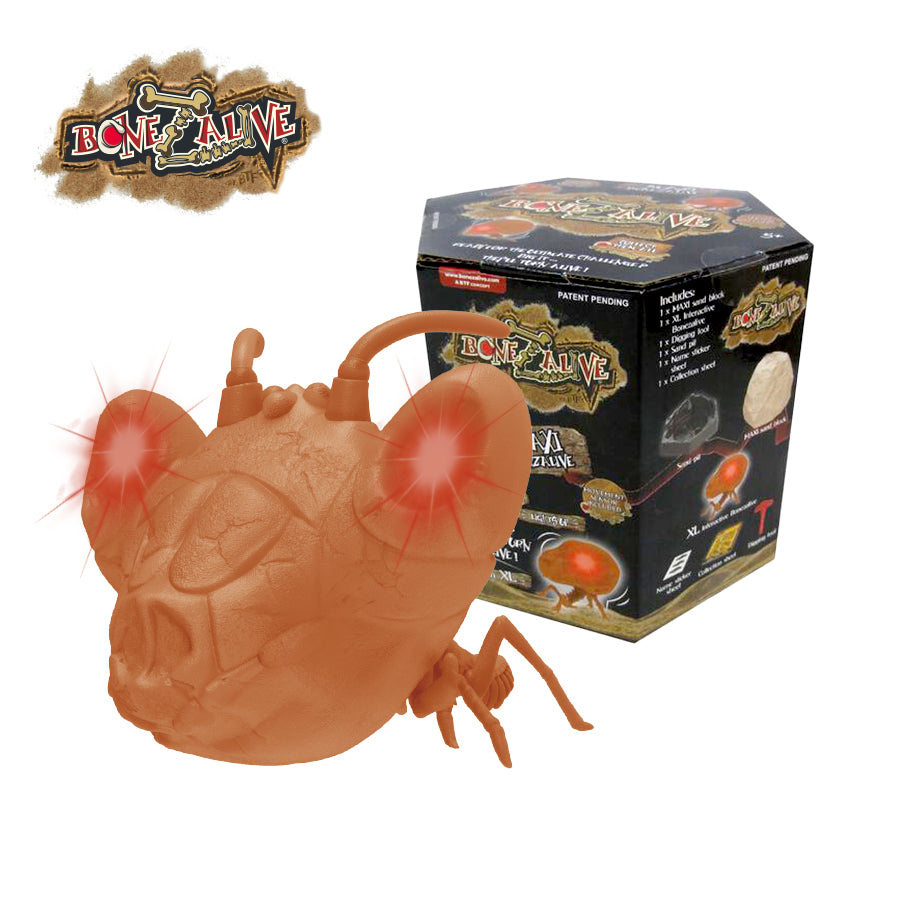 Bộ khảo cổ Bonezalive khai quật xương sống dòng lớn BONEZALIVE 59769