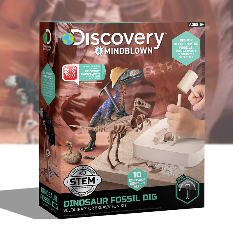 Bộ khảo cổ truy tìm xương Khủng long - Velociraptor STEAM 1423004881
