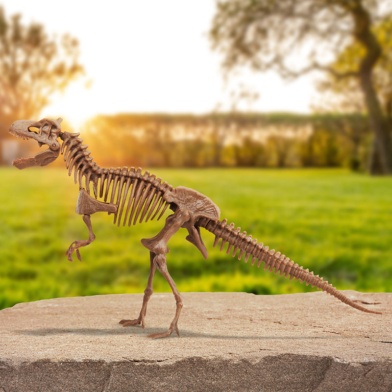 Bộ khảo cổ truy tìm xương Khủng long - T.Rex STEAM 1423004871