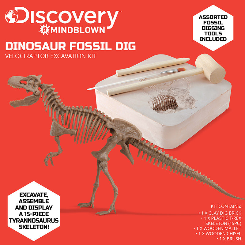 Bộ khảo cổ truy tìm xương Khủng long - T.Rex STEAM 1423004871