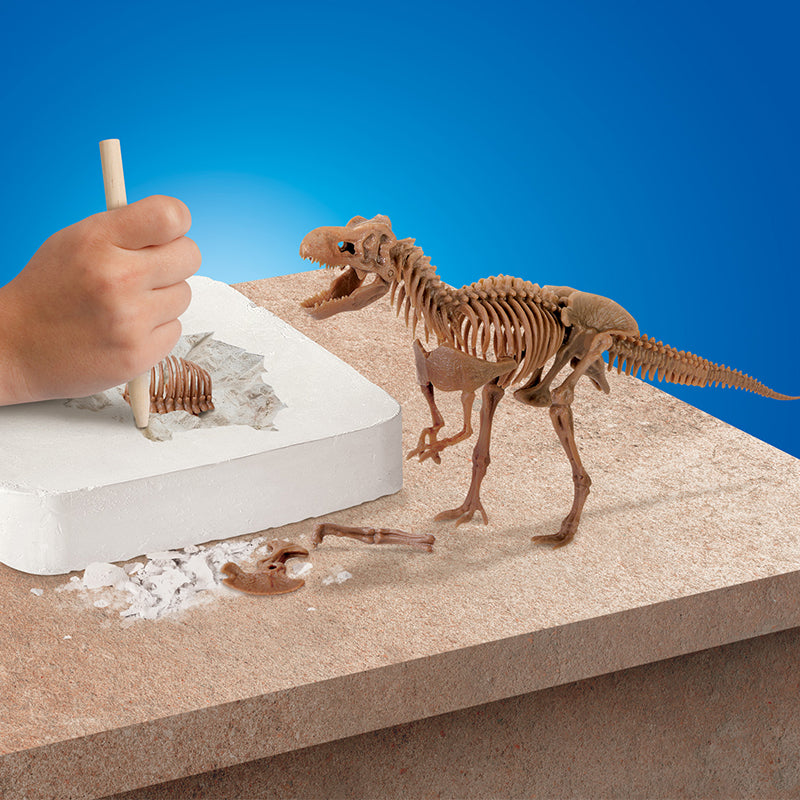 Bộ khảo cổ truy tìm xương Khủng long - T.Rex STEAM 1423004871