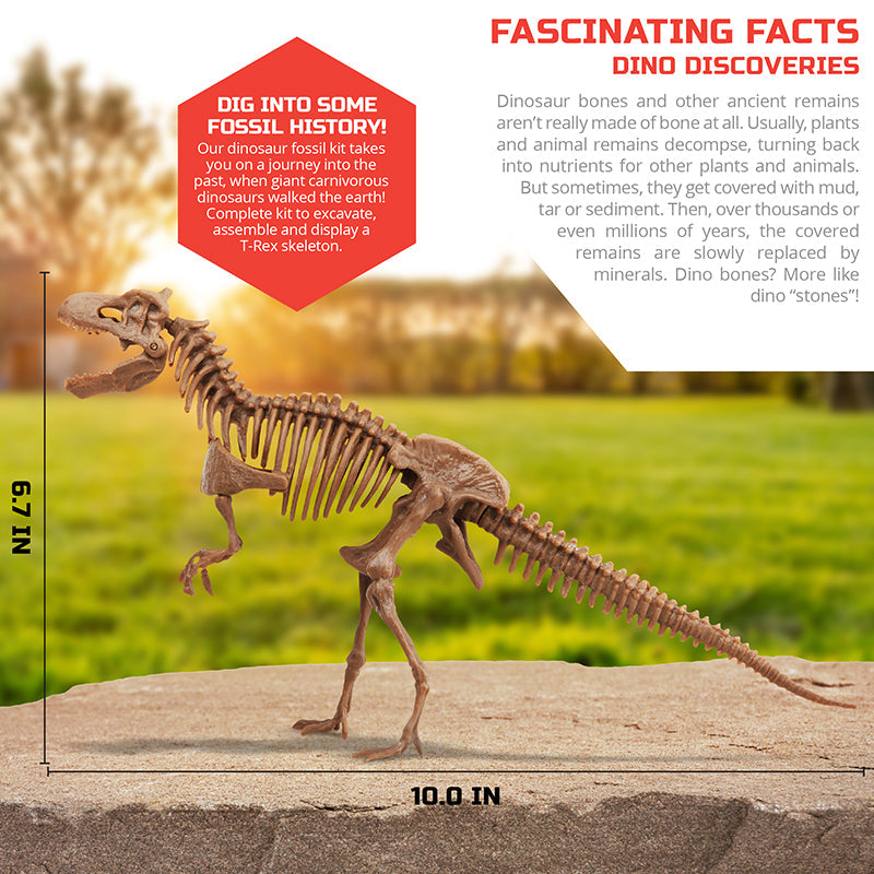 Bộ khảo cổ truy tìm xương Khủng long - T.Rex STEAM 1423004871