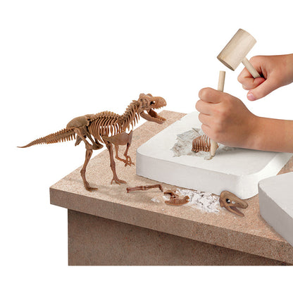 Bộ khảo cổ truy tìm xương Khủng long - T.Rex STEAM 1423004871