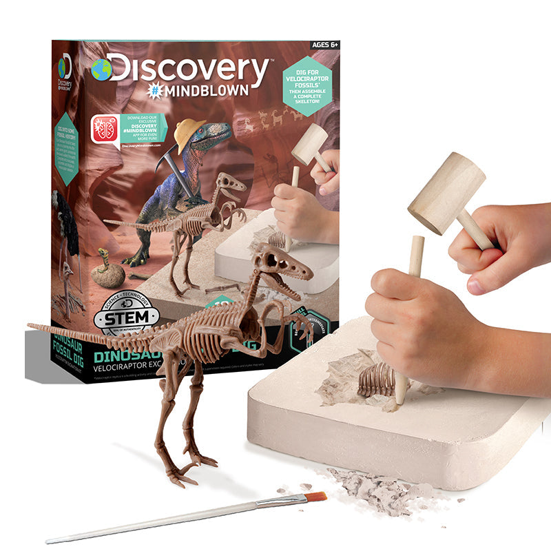 Bộ khảo cổ truy tìm xương Khủng long - Velociraptor STEAM 1423004881