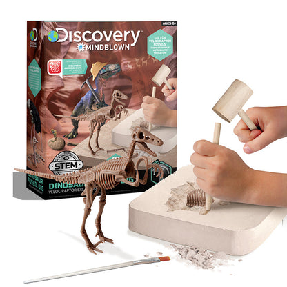 Bộ khảo cổ truy tìm xương Khủng long - Velociraptor STEAM 1423004881