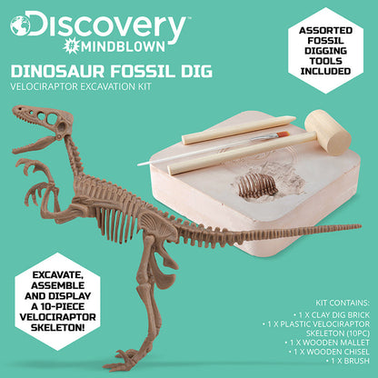 Bộ khảo cổ truy tìm xương Khủng long - Velociraptor STEAM 1423004881
