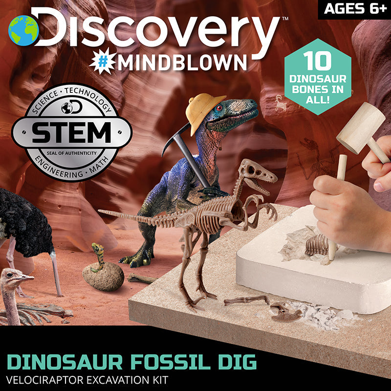 Bộ khảo cổ truy tìm xương Khủng long - Velociraptor STEAM 1423004881