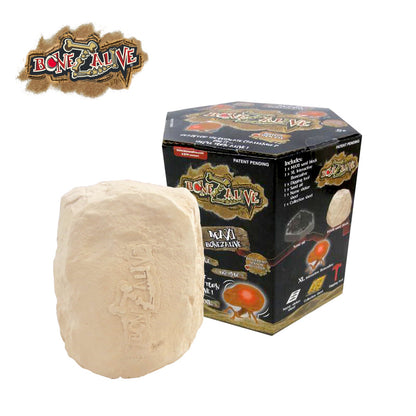 Bộ khảo cổ Bonezalive khai quật xương sống dòng lớn BONEZALIVE 59769