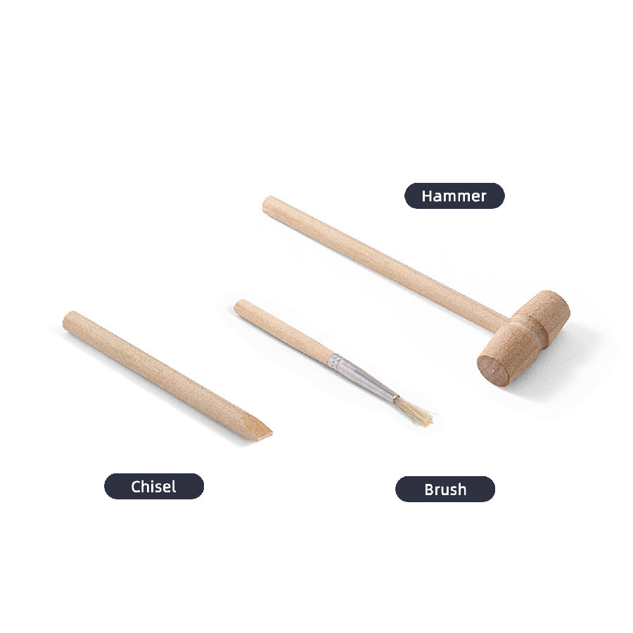 Bộ Khảo Cổ Khai Quật Trứng Rồng Quý Hiếm STEAM D3172