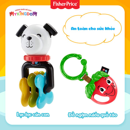 Bộ đồ chơi lục lạc cho bé nhỏ FISHER PRICE MATTEL FBH63